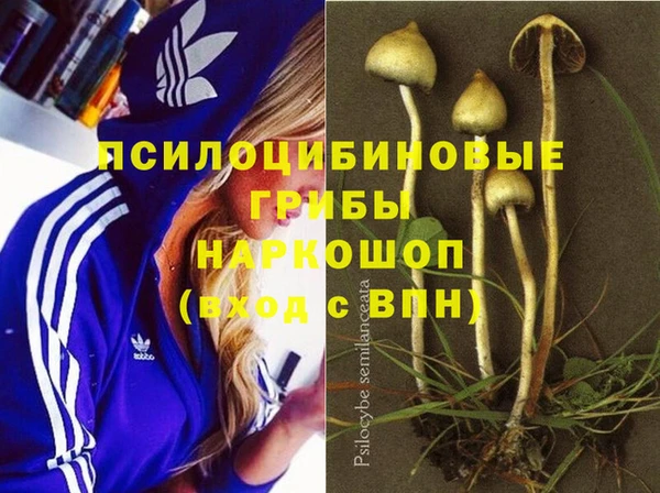 COCAINE Кукмор