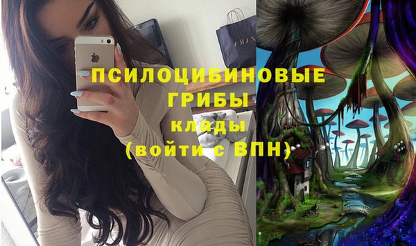 эйфоретик Кулебаки