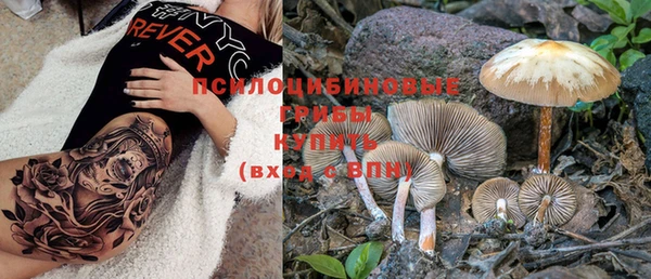 дживик Куйбышев